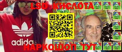 шишки Камышлов
