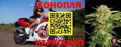 шишки Камышлов
