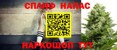 шишки Камышлов