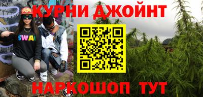 шишки Камышлов