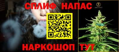 шишки Камышлов