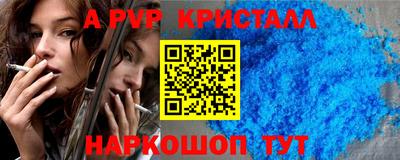 шишки Камышлов